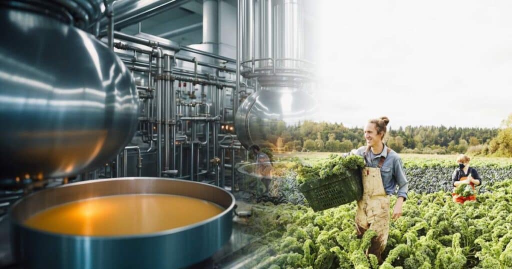 Innovations in Food Grade Gas Production and Technology - Innovations in Food Grade Gas Applications